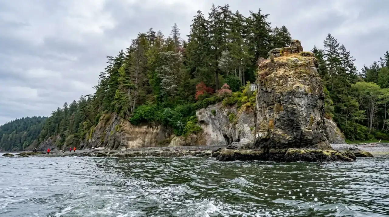 Vancouver City and Seal Colony Scenic Boat Tour view 11