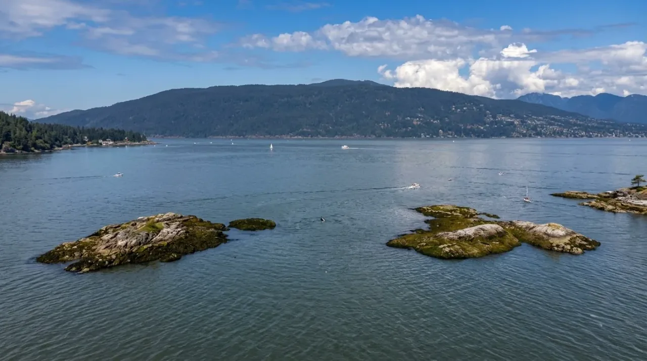 Vancouver City and Seal Colony Scenic Boat Tour view 13