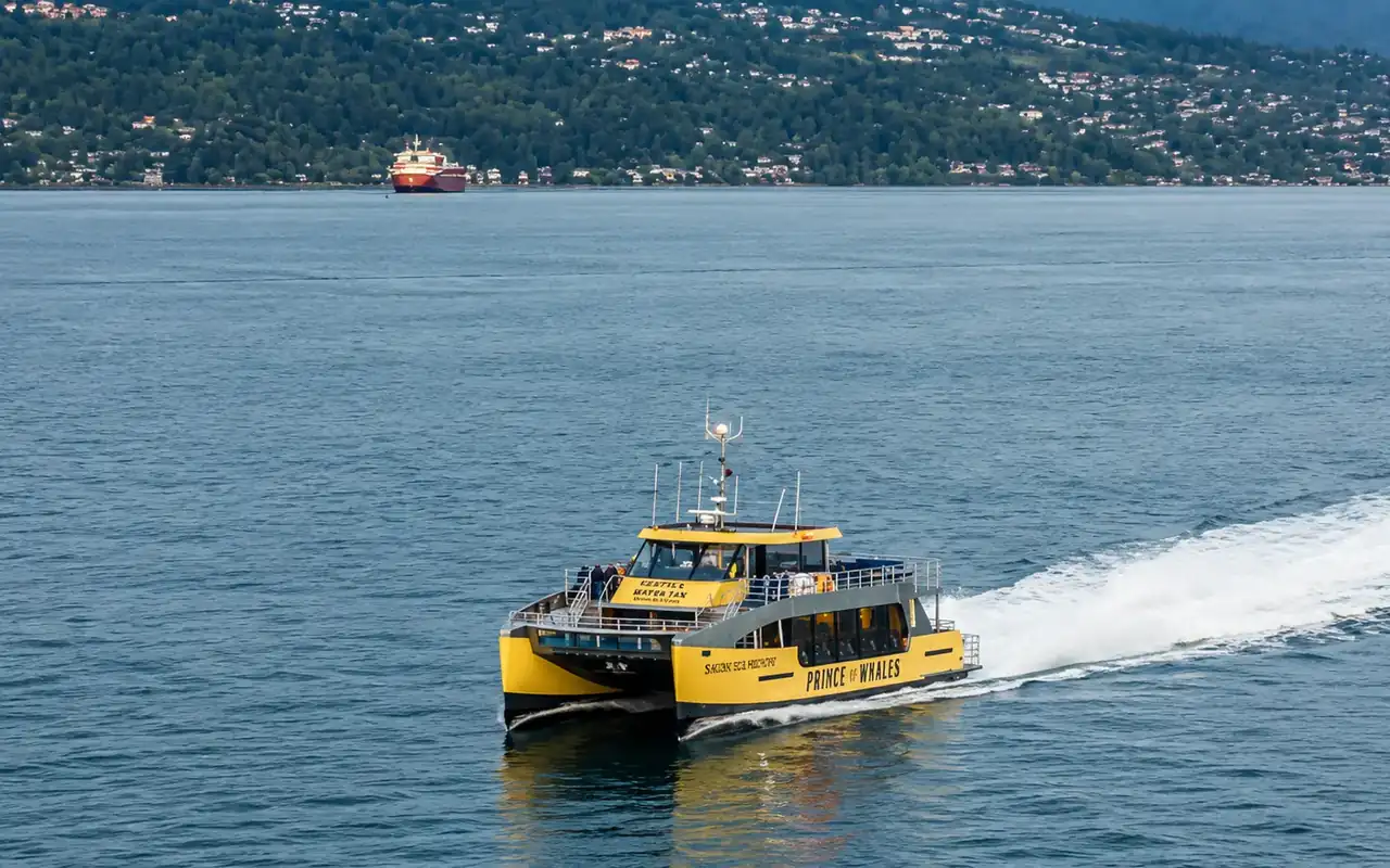 Vancouver Half Day Whale Watching Adventure with Free Photos view 6